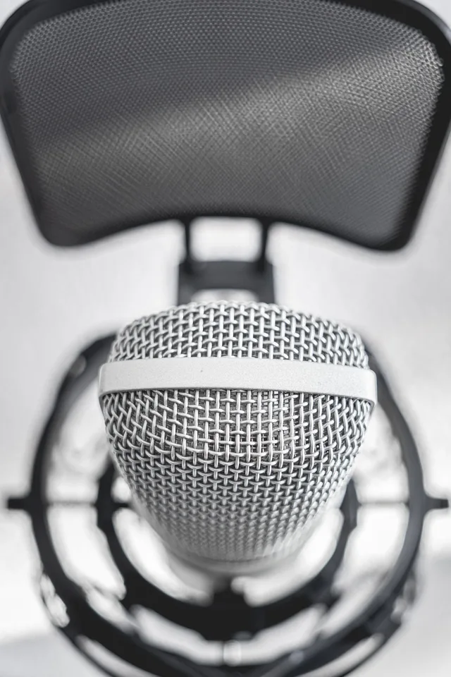 microphone, recording, studio, audio, condenser microphone, mic, music, closeup. Comparing a host story with a direct product explanation