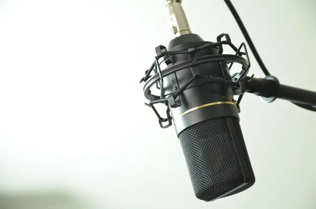audio, microphone, condenser microphone, music, sound recording, audio equipment, mic, close up, microphone, microphone, microphone, microphone, microphone, mic. Managing host-read advertising
